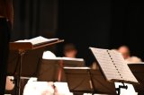 Unterhaltungskonzert &amp; Theater 2024 060